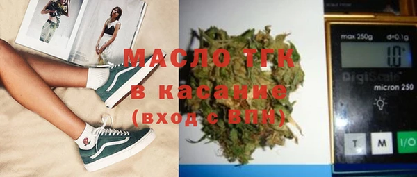 хмурый Арсеньев