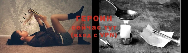 хмурый Арсеньев