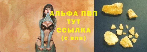 хмурый Арсеньев