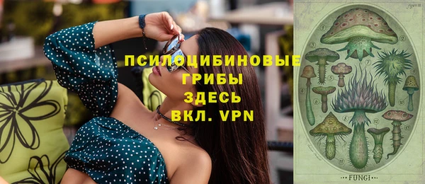 хмурый Арсеньев