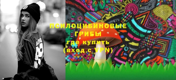 винт Аркадак