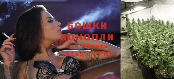ПСИЛОЦИБИНОВЫЕ ГРИБЫ Новокубанск