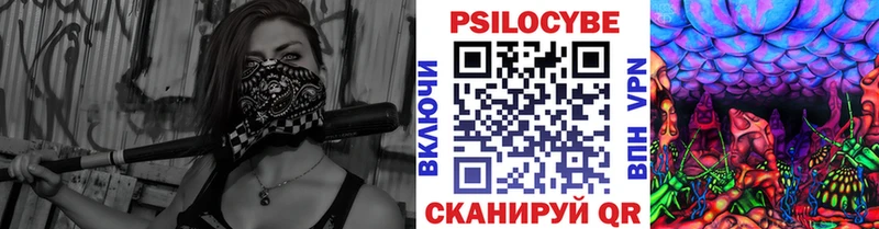 наркошоп  Советская Гавань  Псилоцибиновые грибы Psilocybine cubensis 